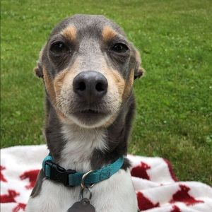 Meet your Posher, Jenna